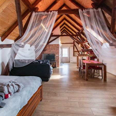 Penzion Na Barokni Ceste Wellness & Spa Plasy المظهر الخارجي الصورة