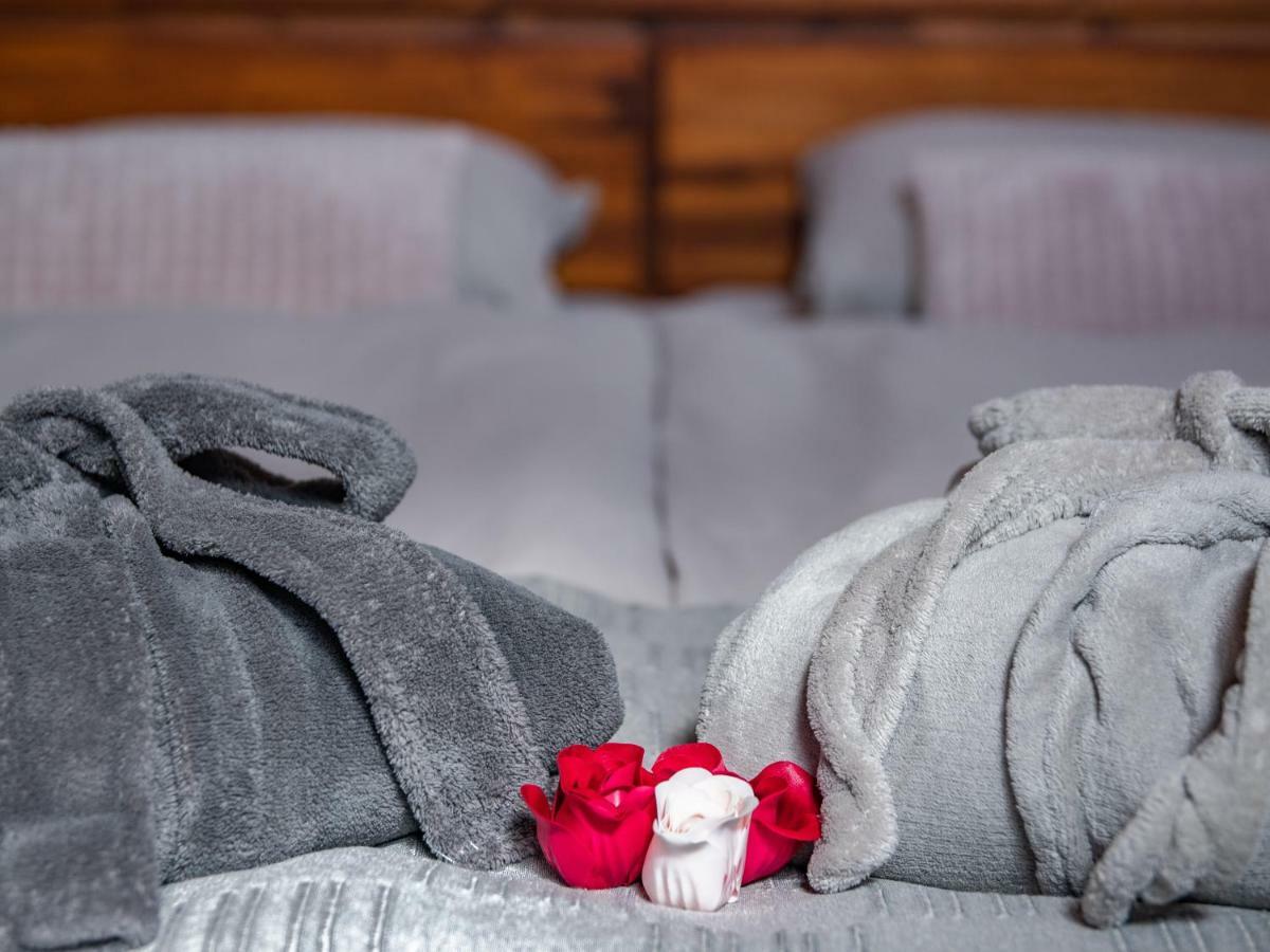 Penzion Na Barokni Ceste Wellness & Spa Plasy المظهر الخارجي الصورة