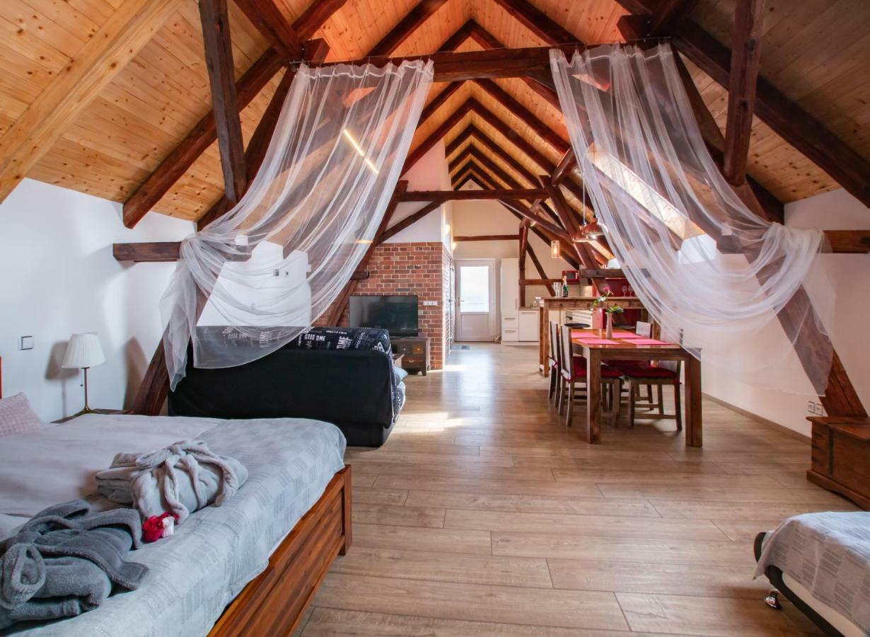 Penzion Na Barokni Ceste Wellness & Spa Plasy المظهر الخارجي الصورة